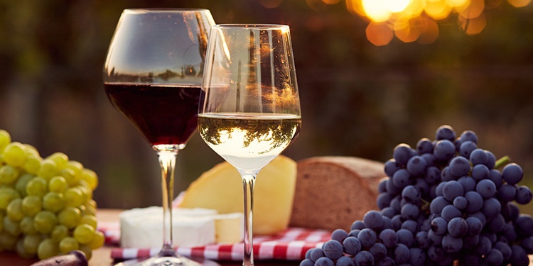 Você já ouviu falar em vinhos orgânicos? Você já ouviu falar em vinhos orgânicos?