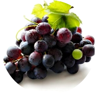 OS BENEFÍCIOS DO RESVERATROL