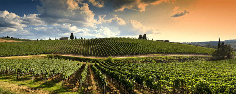 Sobre Regiões de Vinhos Italianos