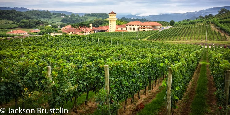 O VALE DOS VINHEDOS E AS VINÍCOLAS