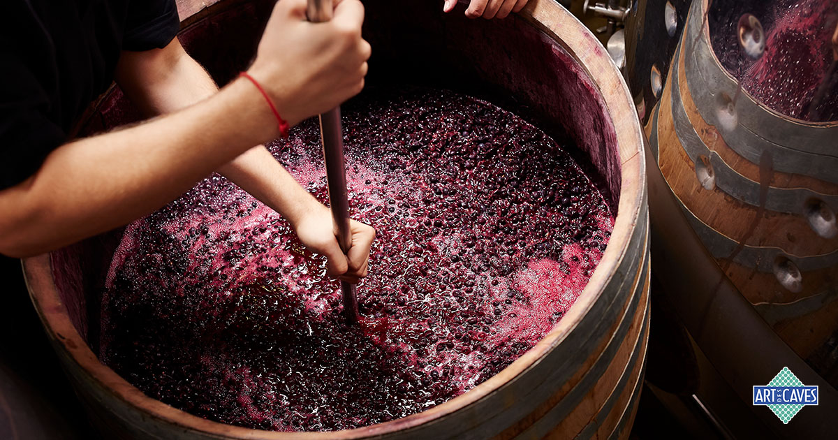 A fermentação do vinho seco
