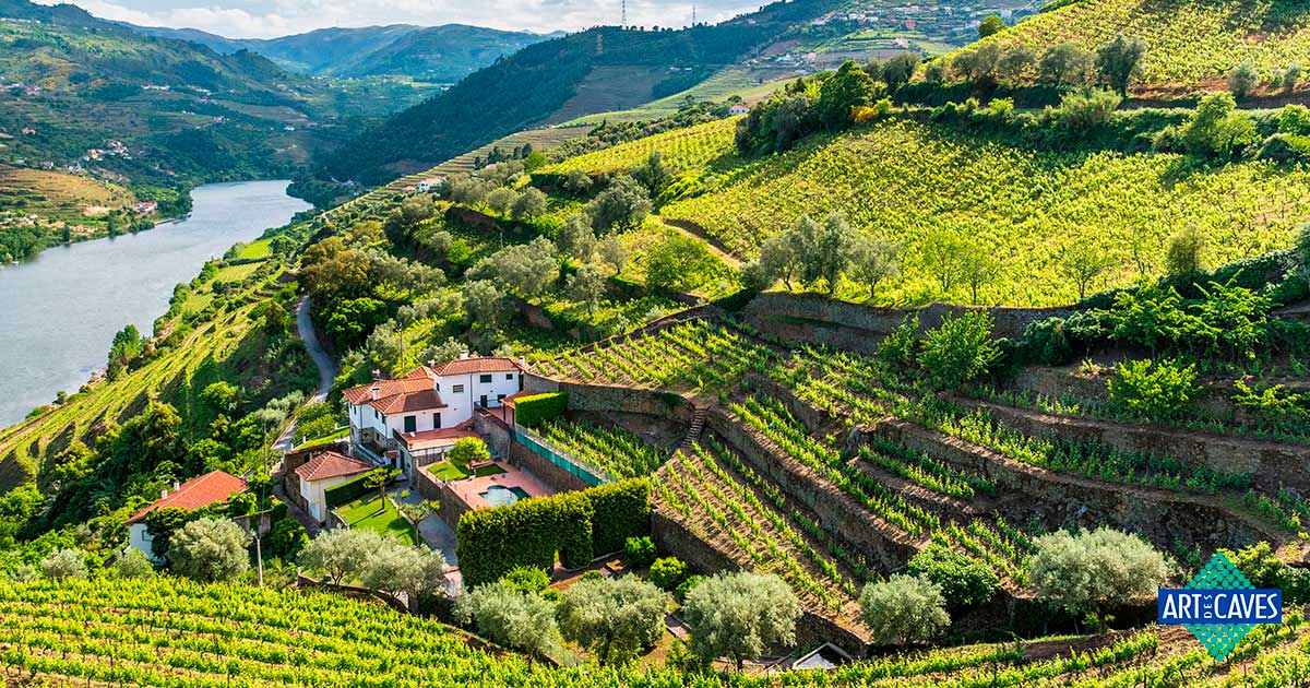 Conheça os melhores vinhos portugueses